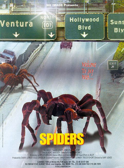 Spiders