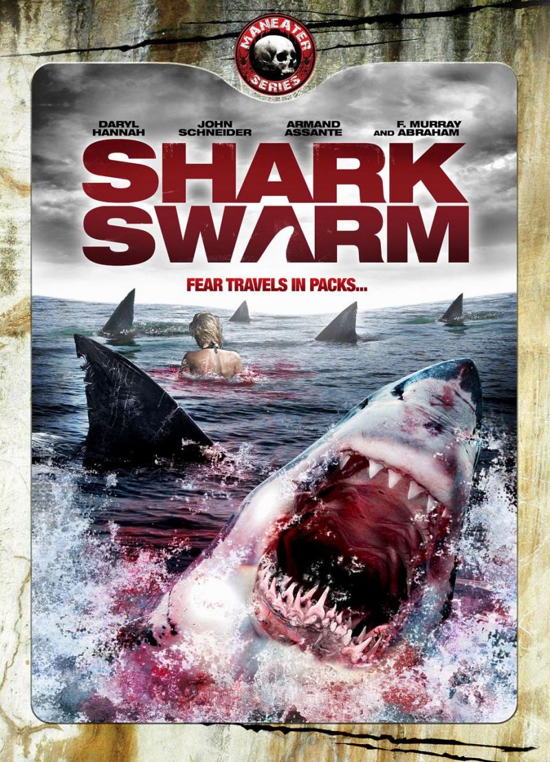 Shark Swarm