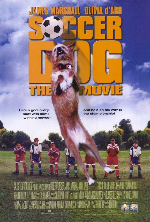 Soccer Dog